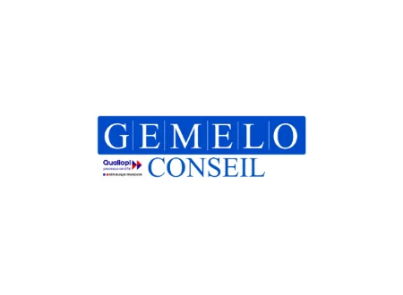 Gemelo Conseil - SAD et pilotage budgétaire : l'outil d'analyse financière et d'évaluation